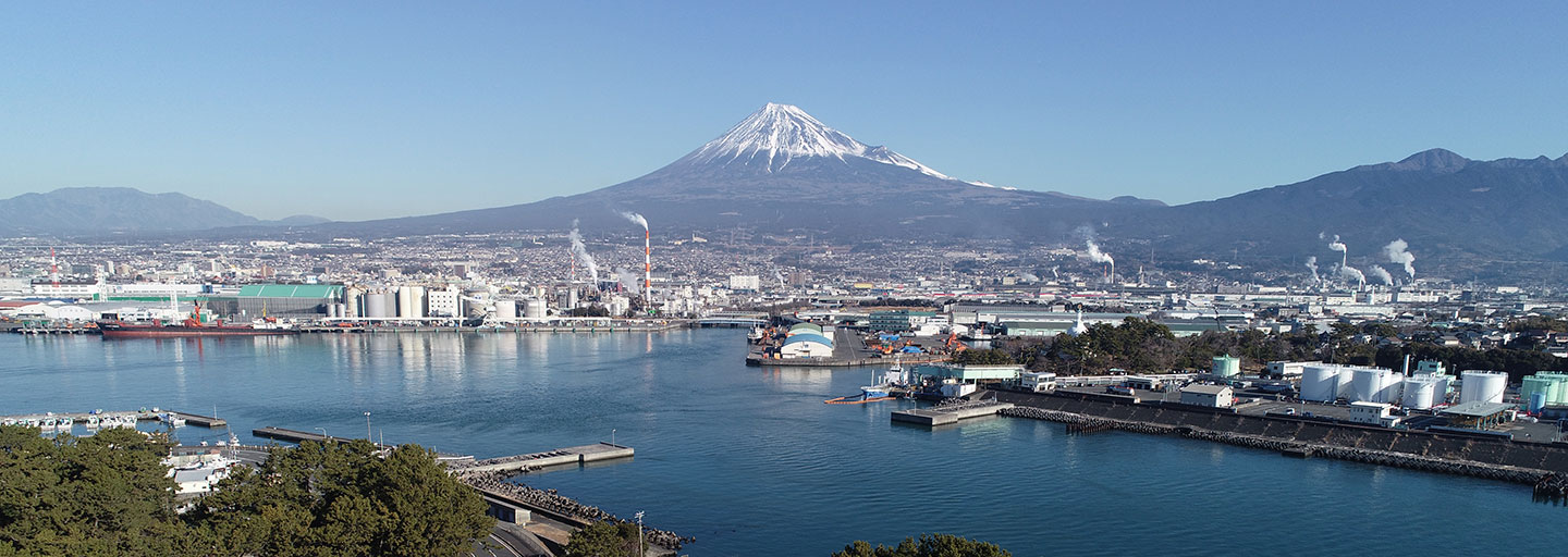 田子の浦埠頭から富士山を望む